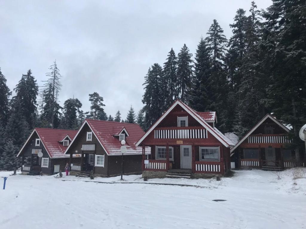 Chalet Sofia Borovets Eksteriør billede