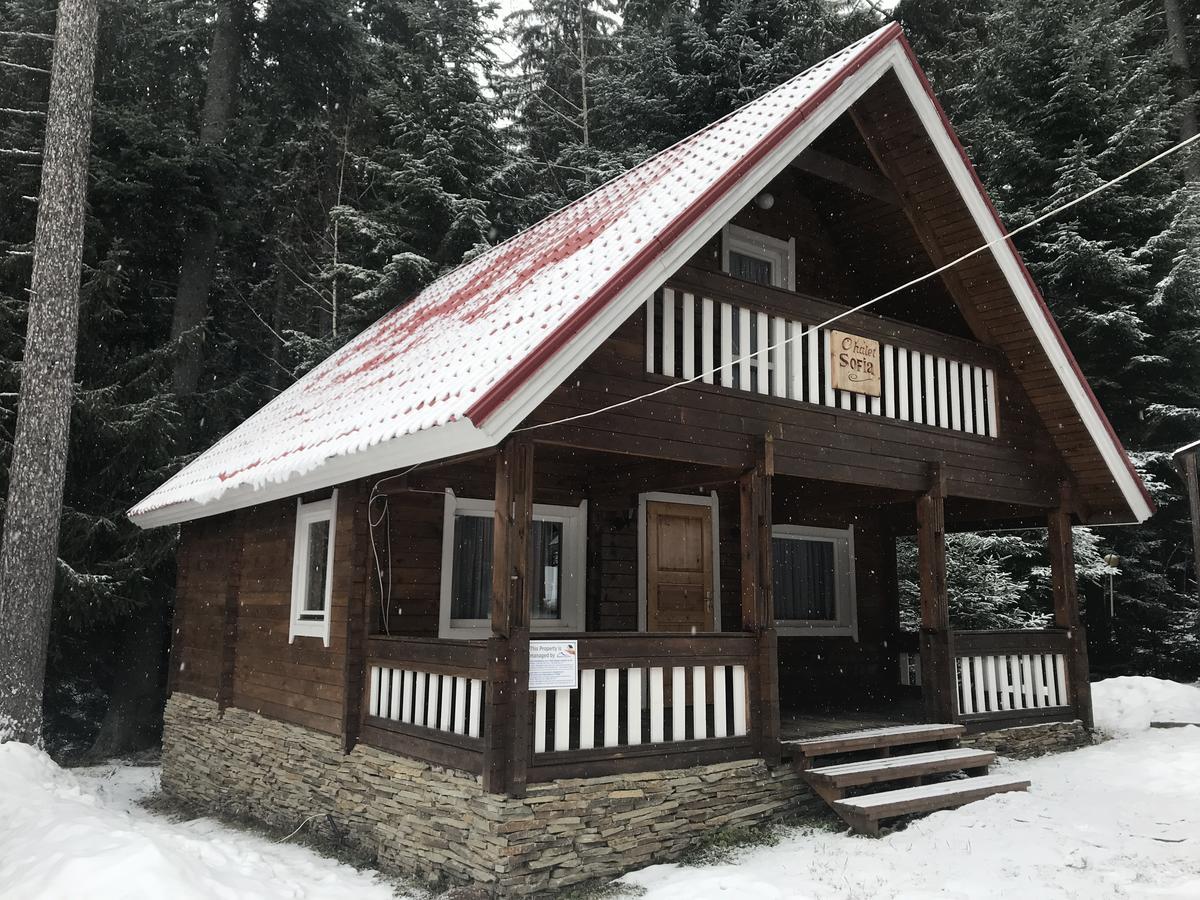 Chalet Sofia Borovets Eksteriør billede
